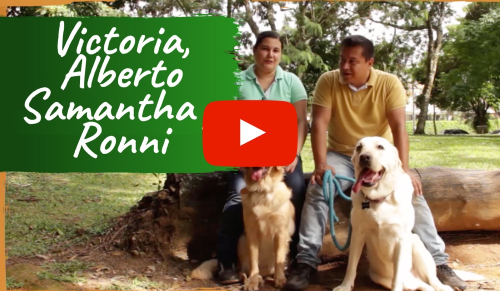Familia con sus dos perros tranquilos en el parque tras completar el programa de modificación de conducta
